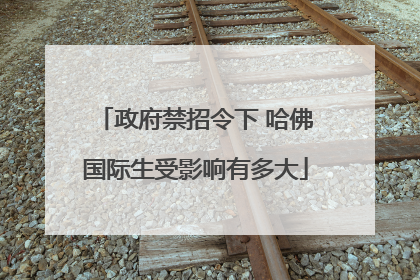 政府禁招令下 哈佛国际生受影响有多大