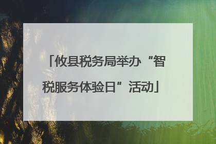 攸县税务局举办“智税服务体验日”活动
