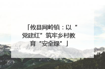 攸县网岭镇：以“党建红”筑牢乡村教育“安全绿”