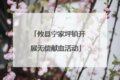 攸县宁家坪镇开展无偿献血活动