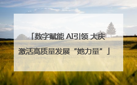 数字赋能 AI引领 大庆激活高质量发展“她力量”