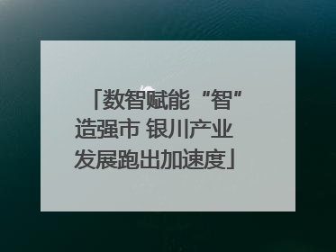 数智赋能“智”造强市 银川产业发展跑出加速度
