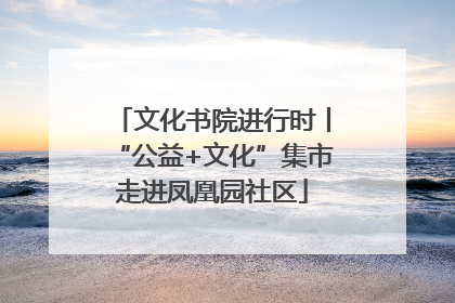 文化书院进行时丨“公益+文化”集市走进凤凰园社区
