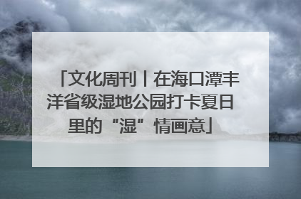 文化周刊丨在海口潭丰洋省级湿地公园打卡夏日里的“湿”情画意