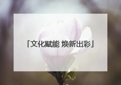 文化赋能 焕新出彩