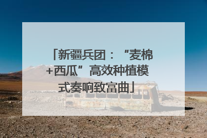 新疆兵团：“麦棉+西瓜”高效种植模式奏响致富曲