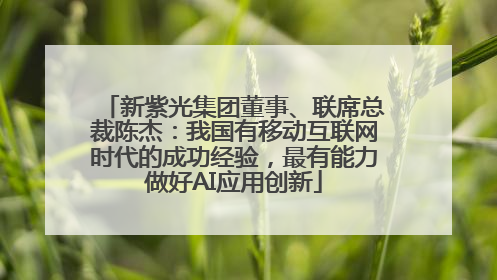 新紫光集团董事、联席总裁陈杰：我国有移动互联网时代的成功经验，最有能力做好AI应用创新