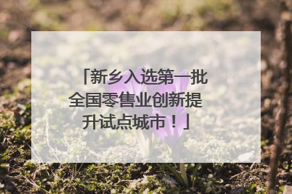 新乡入选第一批全国零售业创新提升试点城市！