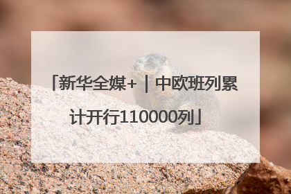 新华全媒+｜中欧班列累计开行110000列
