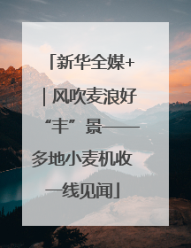 新华全媒+｜风吹麦浪好“丰”景——多地小麦机收一线见闻