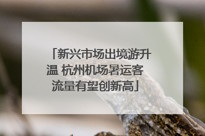 新兴市场出境游升温 杭州机场暑运客流量有望创新高