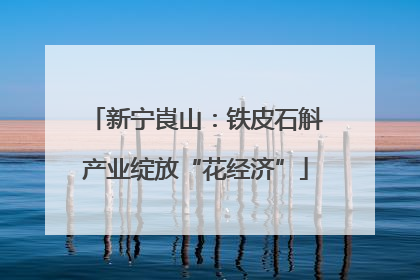 新宁崀山：铁皮石斛产业绽放“花经济”