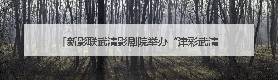 新影联武清影剧院举办“津彩武清 嗨一夏”2025消夏演出季