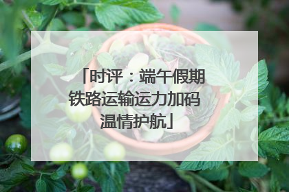时评：端午假期铁路运输运力加码 温情护航
