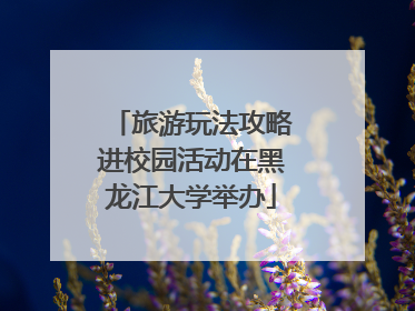旅游玩法攻略进校园活动在黑龙江大学举办