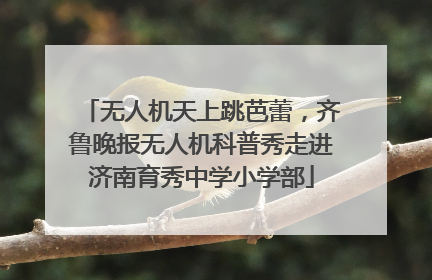 无人机天上跳芭蕾，齐鲁晚报无人机科普秀走进济南育秀中学小学部