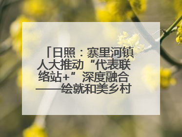 日照：寨里河镇人大推动“代表联络站+”深度融合——绘就和美乡村幸福画卷