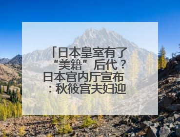 日本皇室有了“美籍”后代？日本宫内厅宣布：秋筱宫夫妇迎来首个孙辈