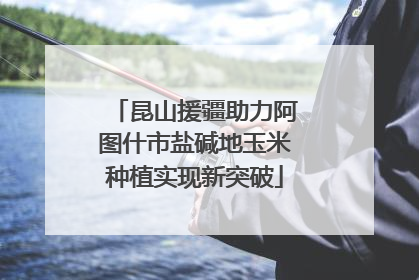 昆山援疆助力阿图什市盐碱地玉米种植实现新突破