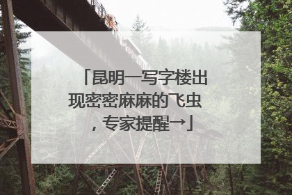 昆明一写字楼出现密密麻麻的飞虫，专家提醒→