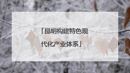 昆明构建特色现代化产业体系