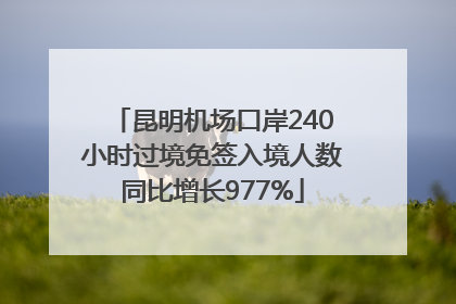 昆明机场口岸240小时过境免签入境人数同比增长977%