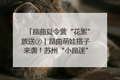 昆曲夏令营“花絮”放送⑦｜昆曲萌娃搭子来袭！苏州“小昆迷”姐弟期待同台演绎“姑苏水磨调”