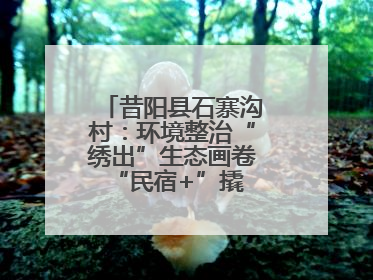 昔阳县石寨沟村：环境整治“绣出”生态画卷 “民宿+”撬动农文旅融合