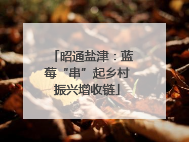 昭通盐津：蓝莓“串”起乡村振兴增收链