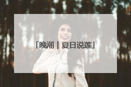 晚潮｜夏日说莲