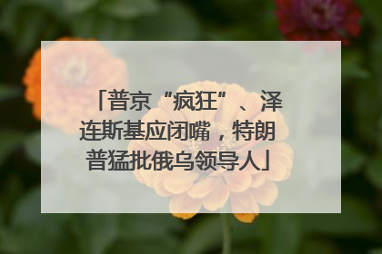 普京“疯狂”、泽连斯基应闭嘴，特朗普猛批俄乌领导人