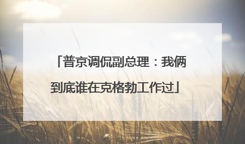 普京调侃副总理：我俩到底谁在克格勃工作过