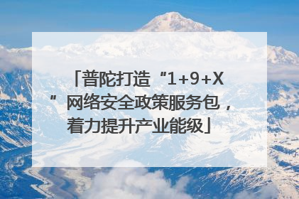 普陀打造“1+9+X”网络安全政策服务包，着力提升产业能级
