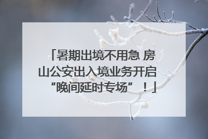 暑期出境不用急 房山公安出入境业务开启“晚间延时专场”！