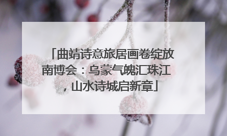 曲靖诗意旅居画卷绽放南博会：乌蒙气魄汇珠江，山水诗城启新章