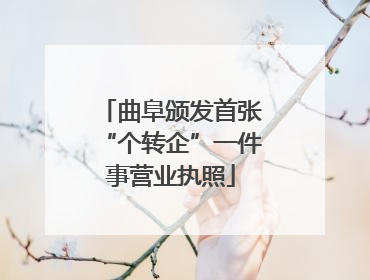 曲阜颁发首张“个转企”一件事营业执照