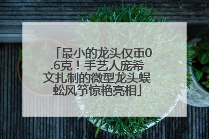 最小的龙头仅重0.6克！手艺人庞希文扎制的微型龙头蜈蚣风筝惊艳亮相