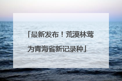 最新发布！荒漠林莺为青海省新记录种