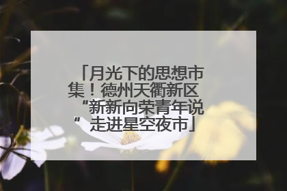 月光下的思想市集！德州天衢新区“新新向荣青年说”走进星空夜市
