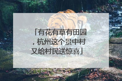 有花有草有田园，杭州这个景中村又给村民送惊喜