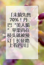 未摘先售70%！丹巴“美人脆”苹果尚在枝头就被预订｜长征路上看四川