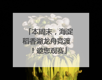 本周末，海淀稻香湖龙舟竞渡！邀您观赛