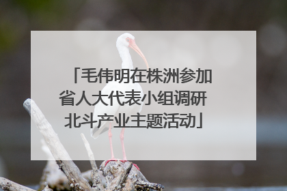 毛伟明在株洲参加省人大代表小组调研北斗产业主题活动