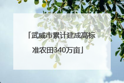武威市累计建成高标准农田340万亩