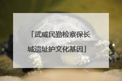武威民勤检察保长城遗址护文化基因
