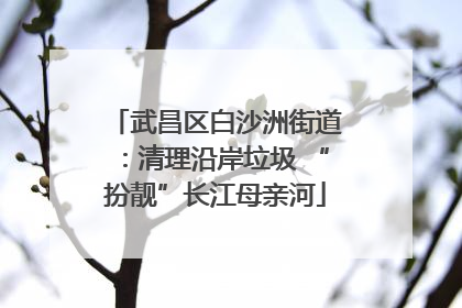 武昌区白沙洲街道：清理沿岸垃圾 “扮靓”长江母亲河