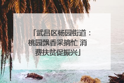 武昌区杨园街道：桃园飘香采摘忙 消费扶贫促振兴