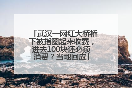 武汉一网红大桥桥下被指圈起来收费，进去100块还必须消费？当地回应