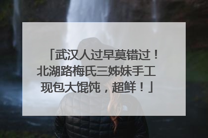 武汉人过早莫错过！北湖路梅氏三姊妹手工现包大馄饨，超鲜！