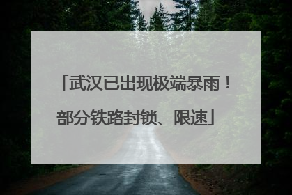 武汉已出现极端暴雨！部分铁路封锁、限速